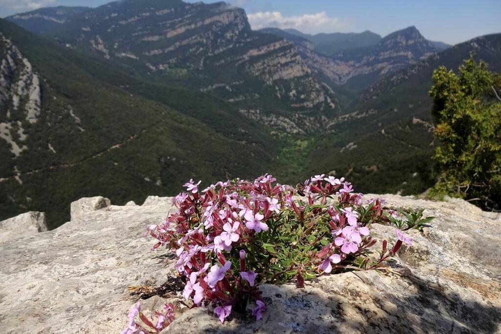 지로나 Pont De Valenti Mountain Retreat 아파트 외부 사진